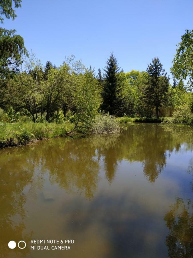 ReSource Apartman Le Chambon-sur-Lignon Kültér fotó