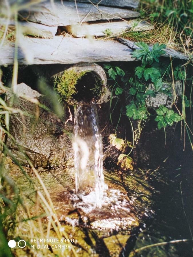 ReSource Apartman Le Chambon-sur-Lignon Kültér fotó